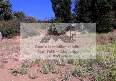 Lote Centrico